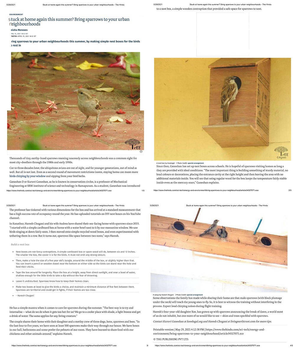 The Hindu - Daily Authentic News 